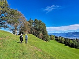 Ober Brki zwischen Oberegg und St.Anton, Okt.2024